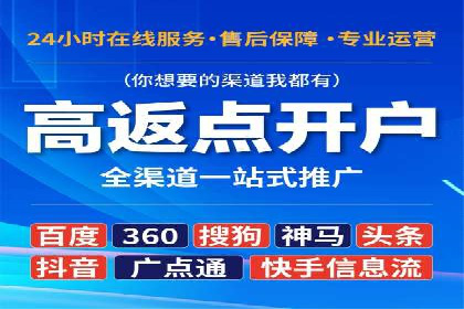 SEM优化策略案例分析
